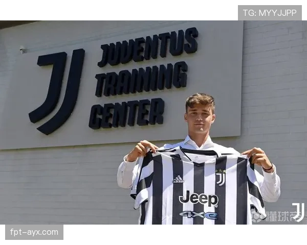 乌迪内斯重塑球队架构，青训体系发力催生青年才俊突破